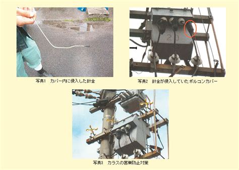 蛇 電線|電気事故に学ぼう55 他物接触 (鳥獣接触)による波及事故｜四国 